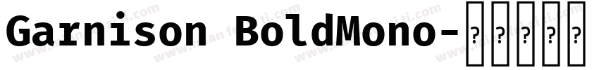 Garnison BoldMono字体转换